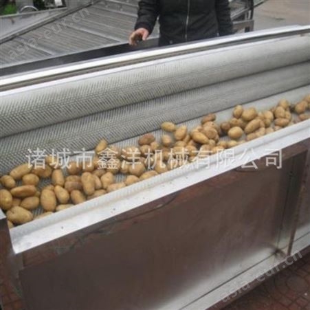 土豆去皮机多种规格可选 鑫洋牌根茎类菜清洗设备 不锈钢毛辊清洗机