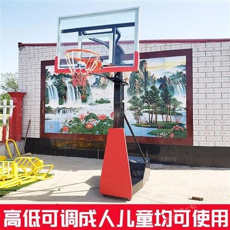 幼儿园可升降移动幼儿园户外标准休闲青少年篮球架 通奥体育