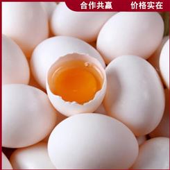 杂粮五谷鸽蛋 鸽蛋信鸽蛋 30枚土鸽蛋 批发出售