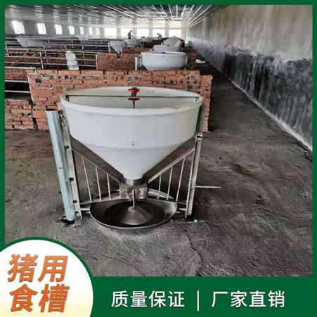  自动料桶 养猪设备猪用食槽干湿料槽